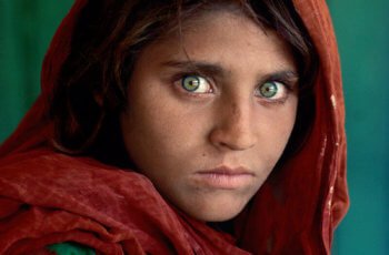 7 Sites De Fotografia Que Te Inspiram A Ser Um Fotógrafo Melhor
