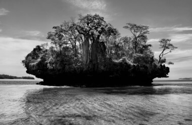 Sem ideias? Veja 4 fatos Sobre Sebastião Salgado Para Te Inspirar!